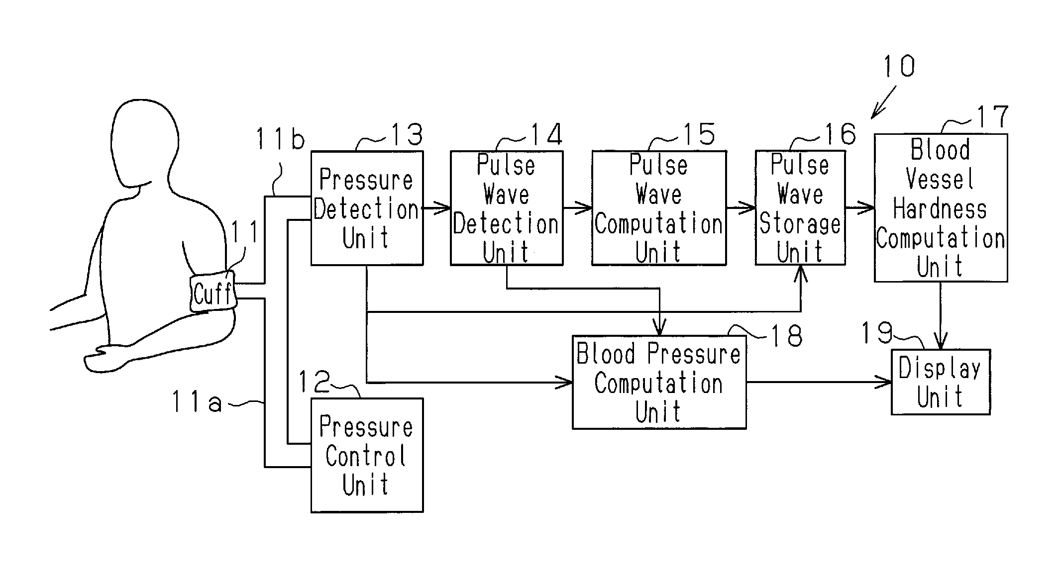 Circulatory dynamics measurement apparatus