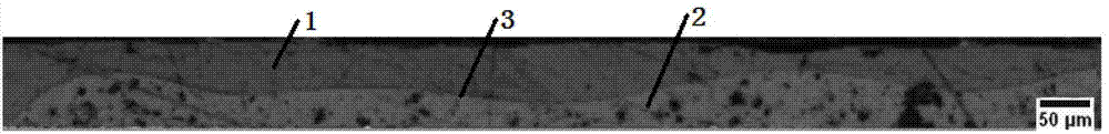 A kind of powder coating with imitation anodic oxidation effect and preparation method thereof