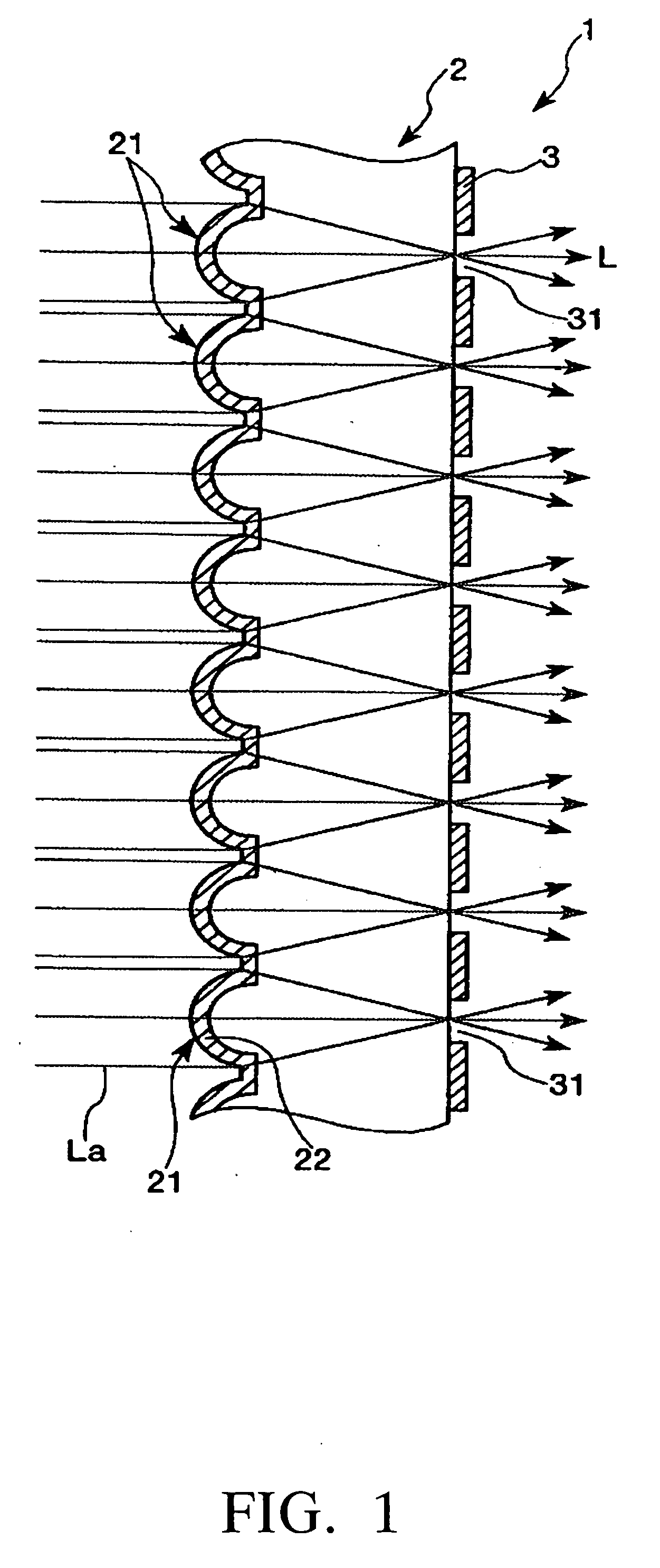 Member with concave portions, a method of manufacturing a member with convex portions, a transmission screen, and a rear projection