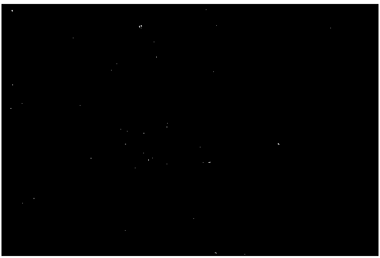 Anti-aging stem cell culture medium and culture method of mesenchymal stem cells