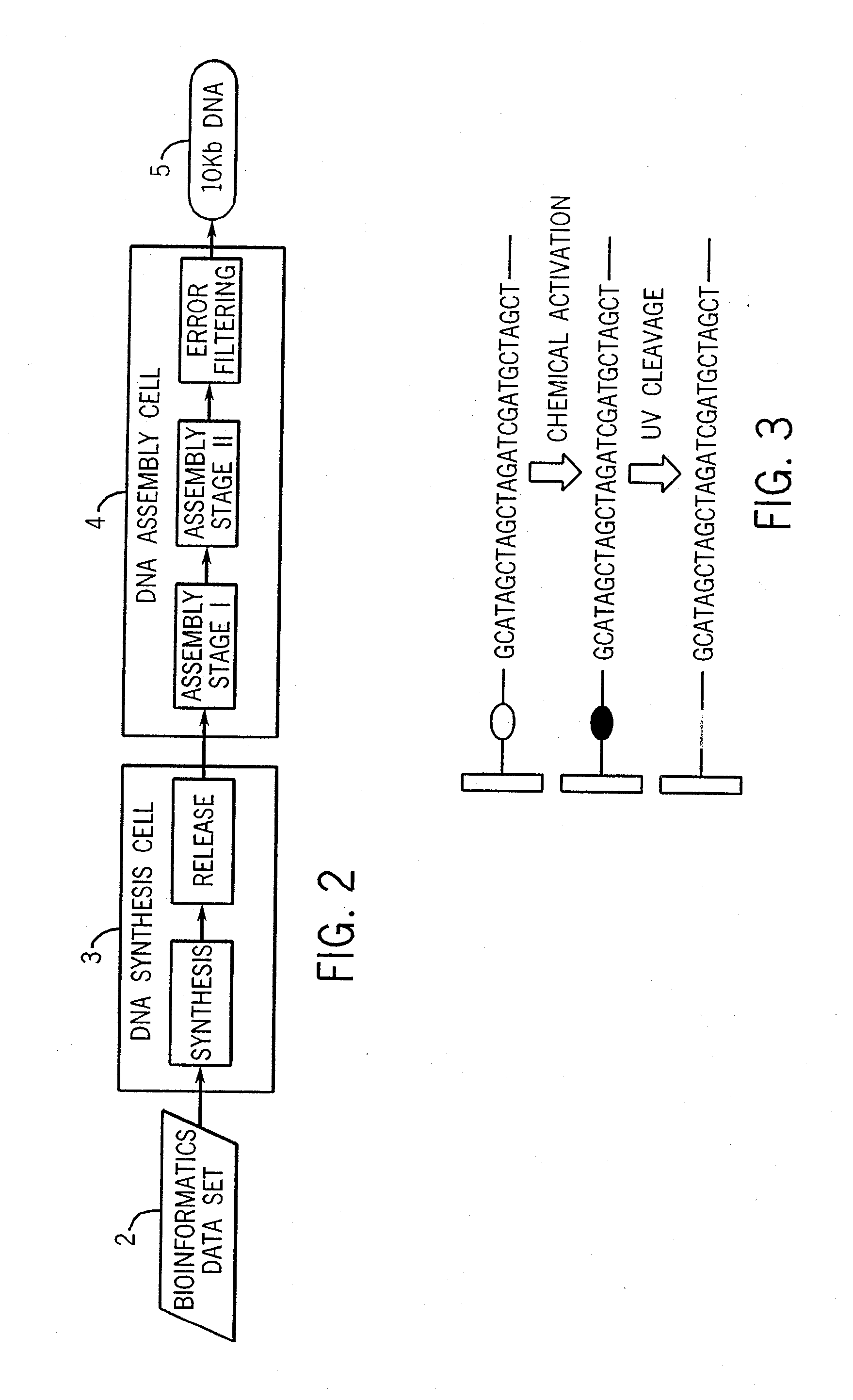 Method and system for the generation of large double stranded DNA fragments