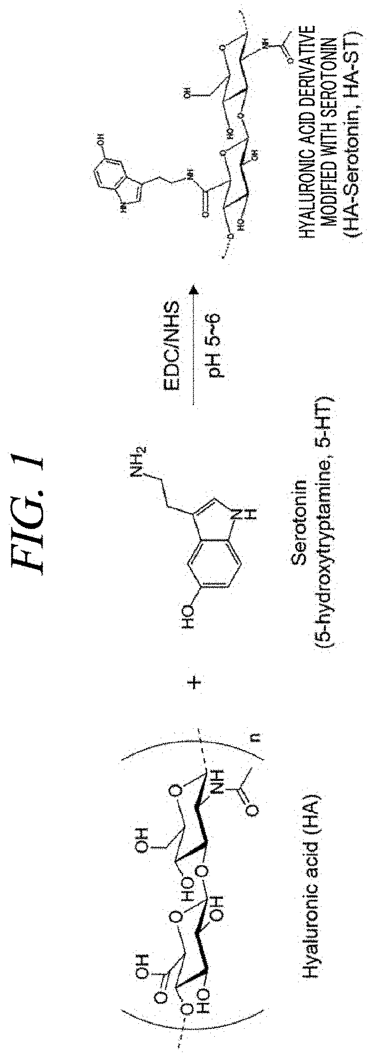 Hydrogel comprising hyaluronic acid modified by serotonin and uses thereof