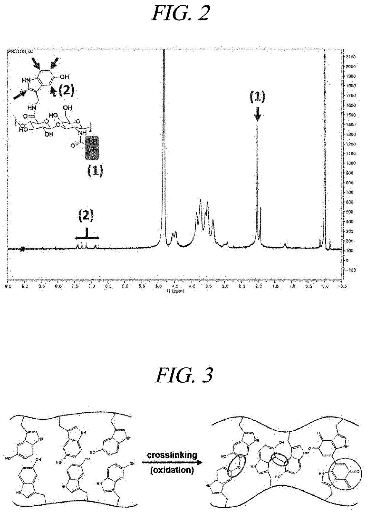 Hydrogel comprising hyaluronic acid modified by serotonin and uses thereof