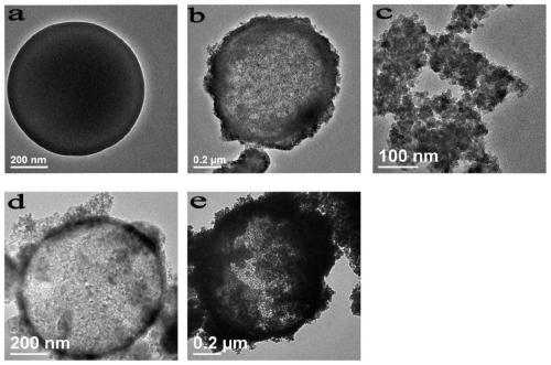 TiO2@C/CdS composite material and preparation method thereof