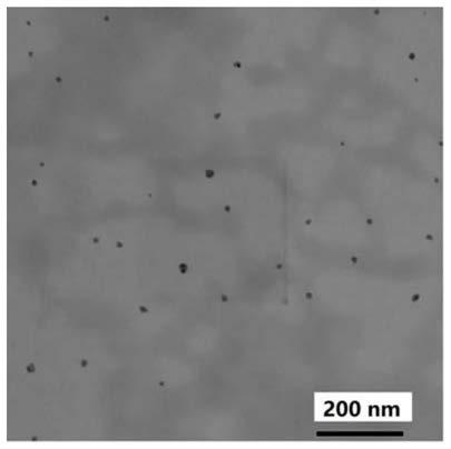 Nano-enzyme as well as preparation method and application thereof