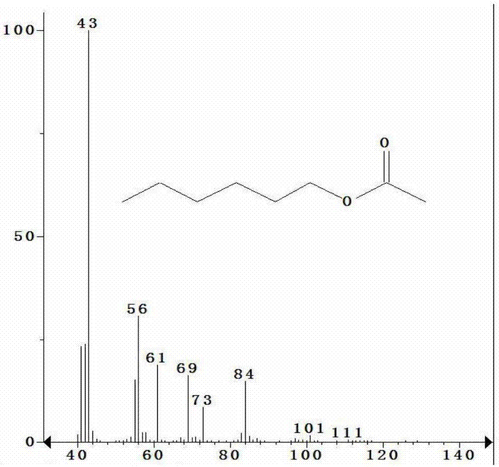 Bacillus rhizosphaerae and method using Bacillus rhizosphaerae and tobacco industry waste to produce hexyl acetate