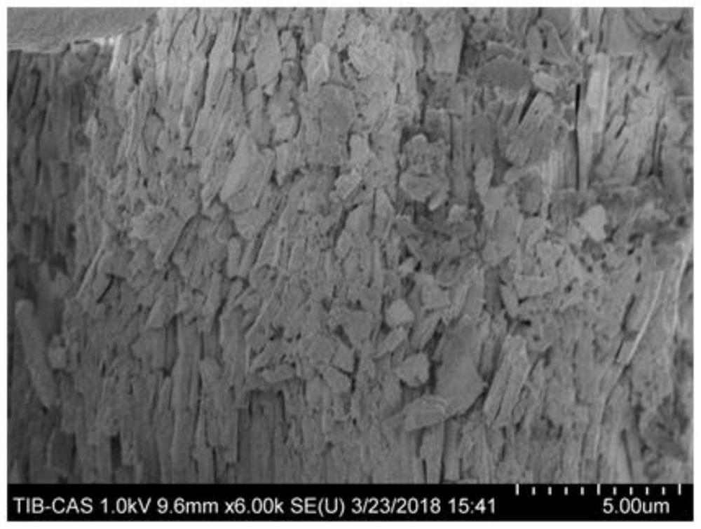 Shell powder-based porous high-temperature-resistant material as well as preparation method and application thereof