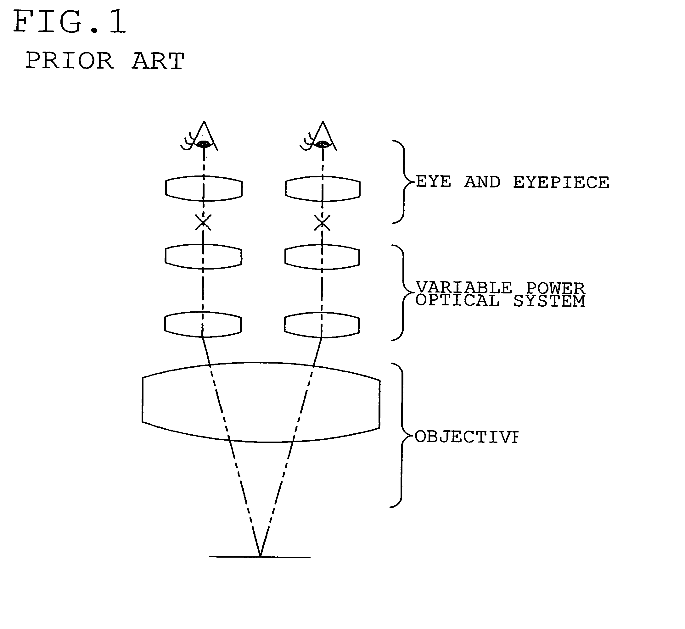 Microscope system