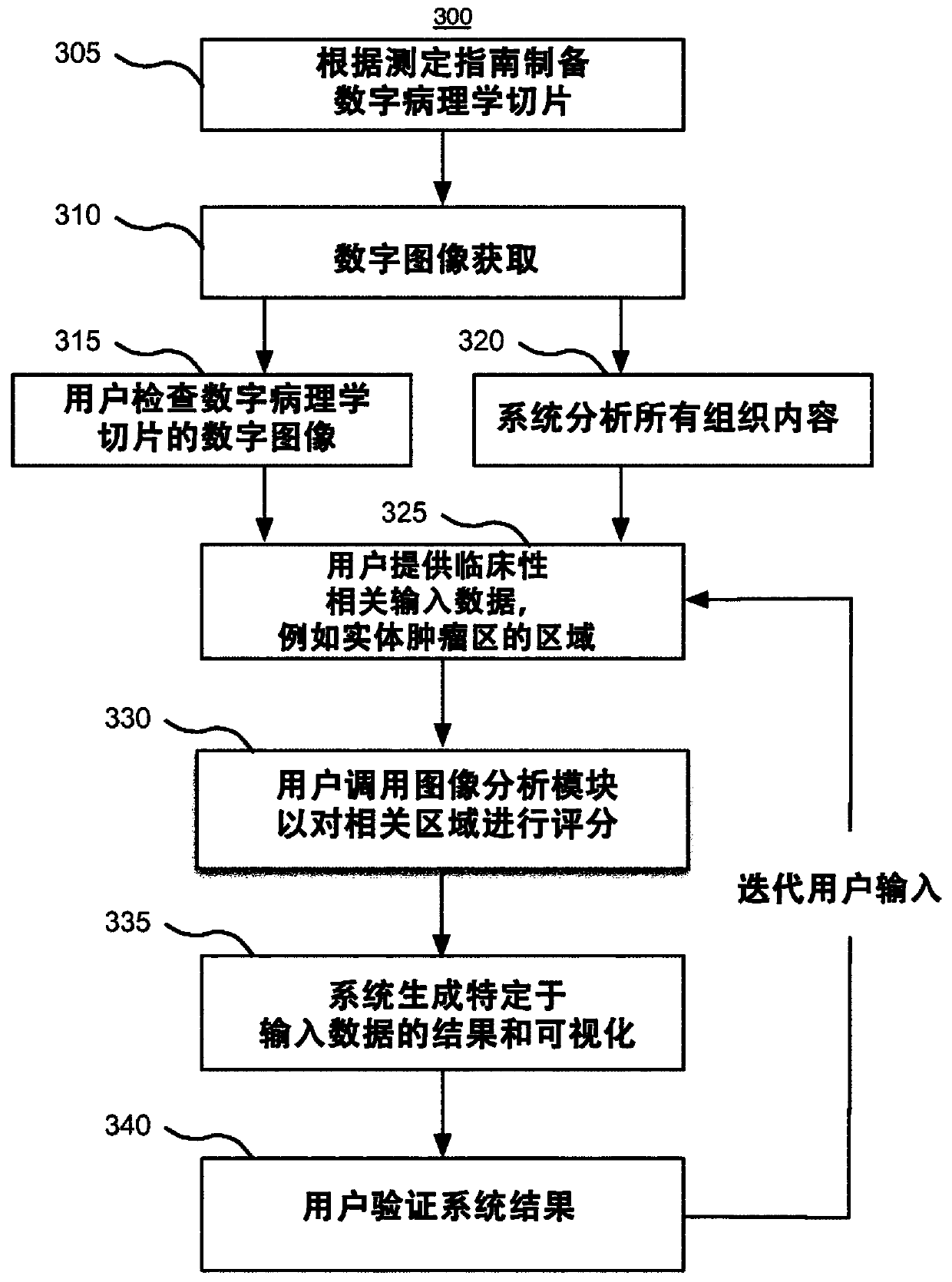 Digital pathology system and associated workflow for providing visualized whole-slide image analysis