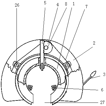 An electric peeling machine