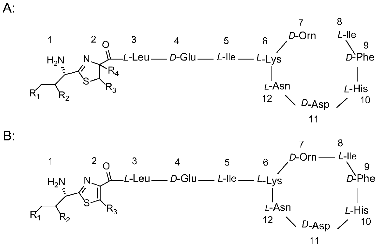 Analysis method of bacitracin and components thereof