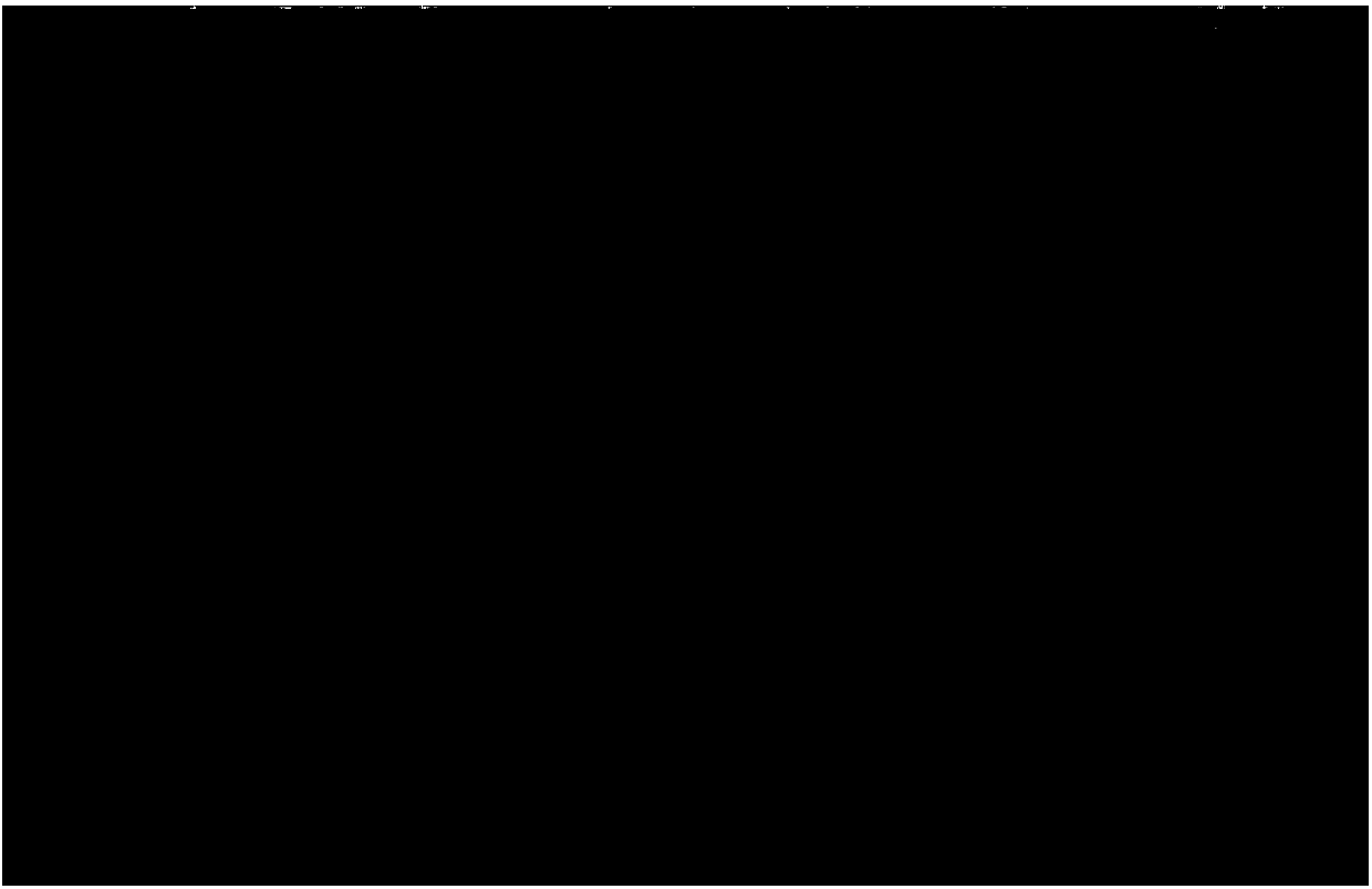 Fungal fluorescent staining fluid and its preparation method