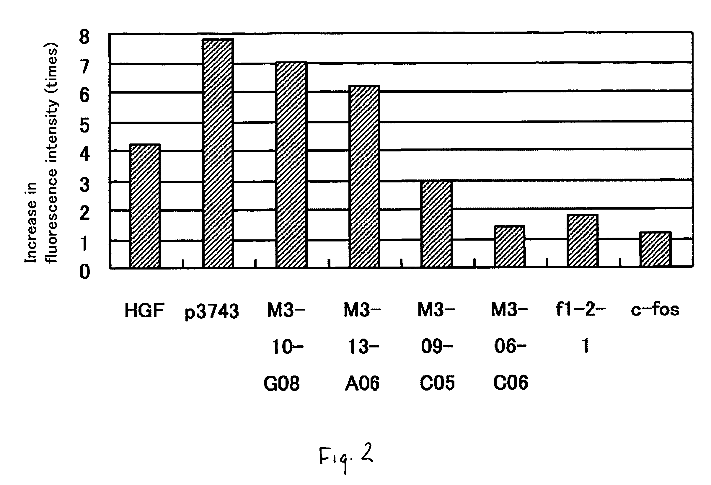 Polypeptide promoting vascular endothelial cell growth