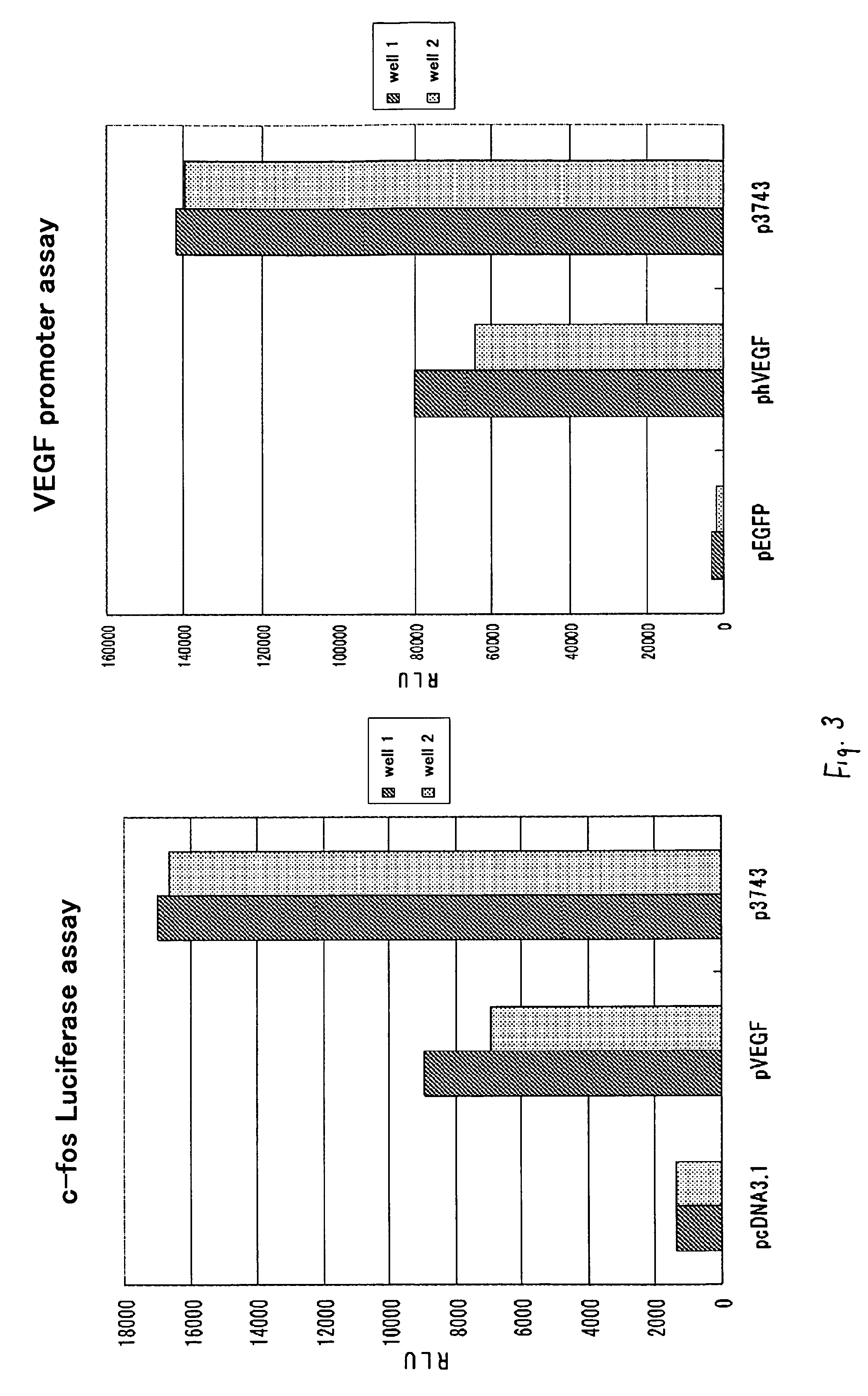 Polypeptide promoting vascular endothelial cell growth