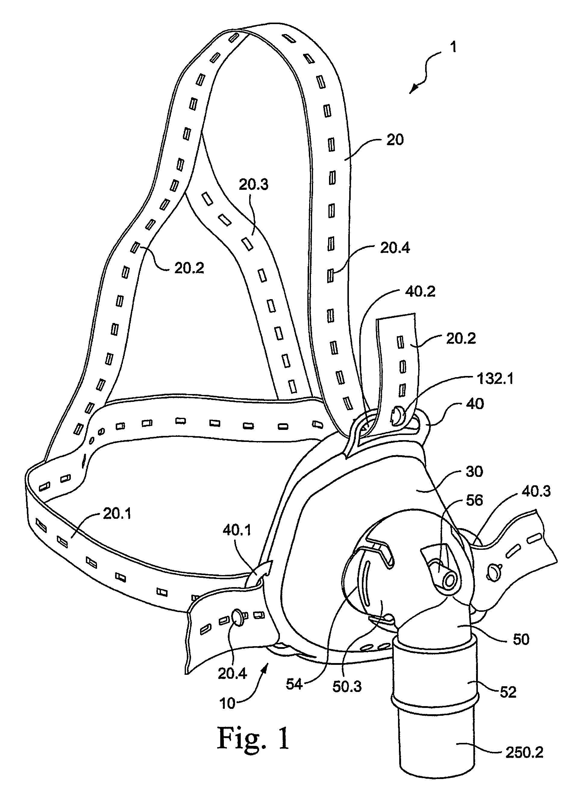 Mask system