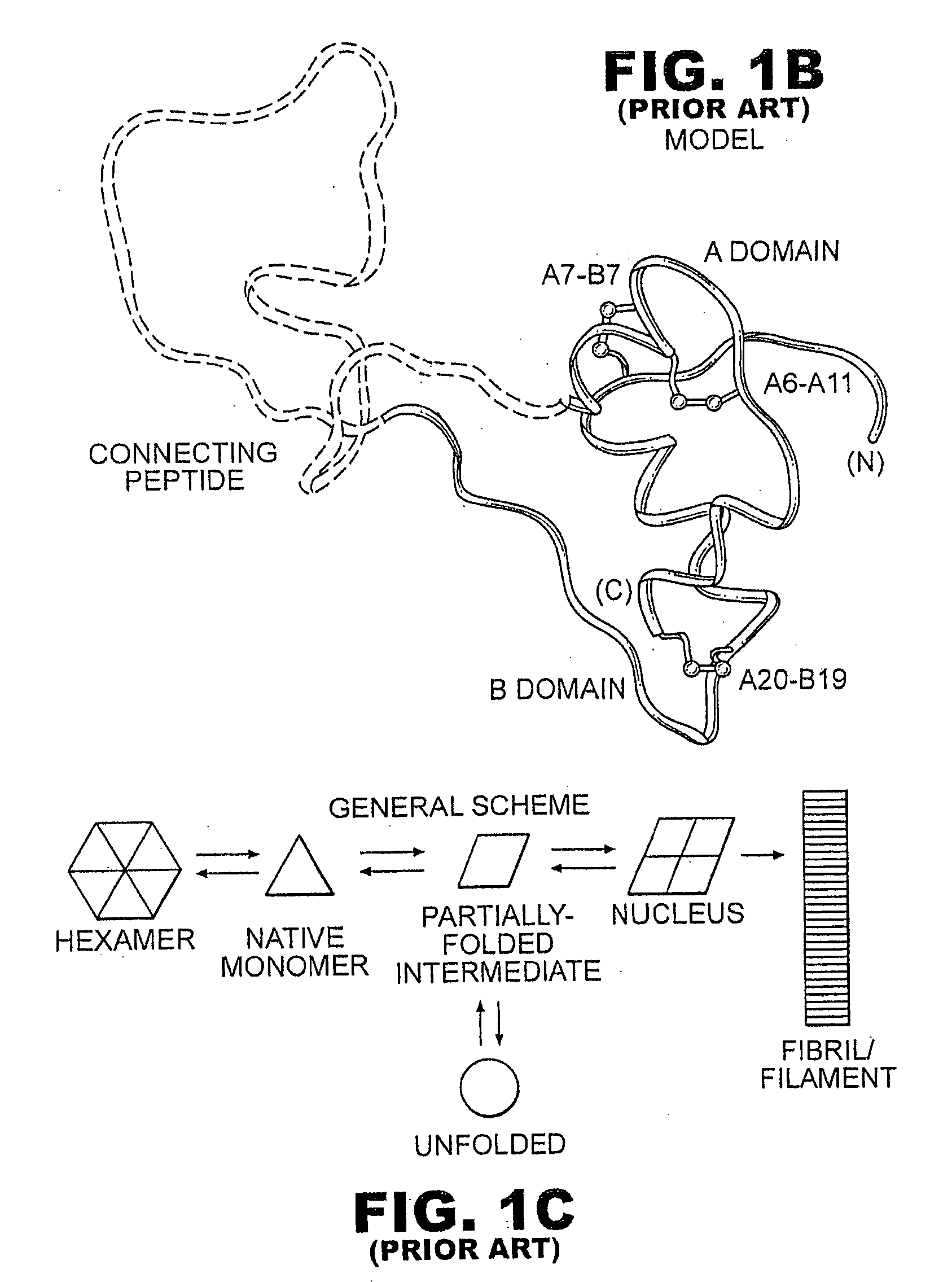 Meal-time insulin analogues of enhanced stability