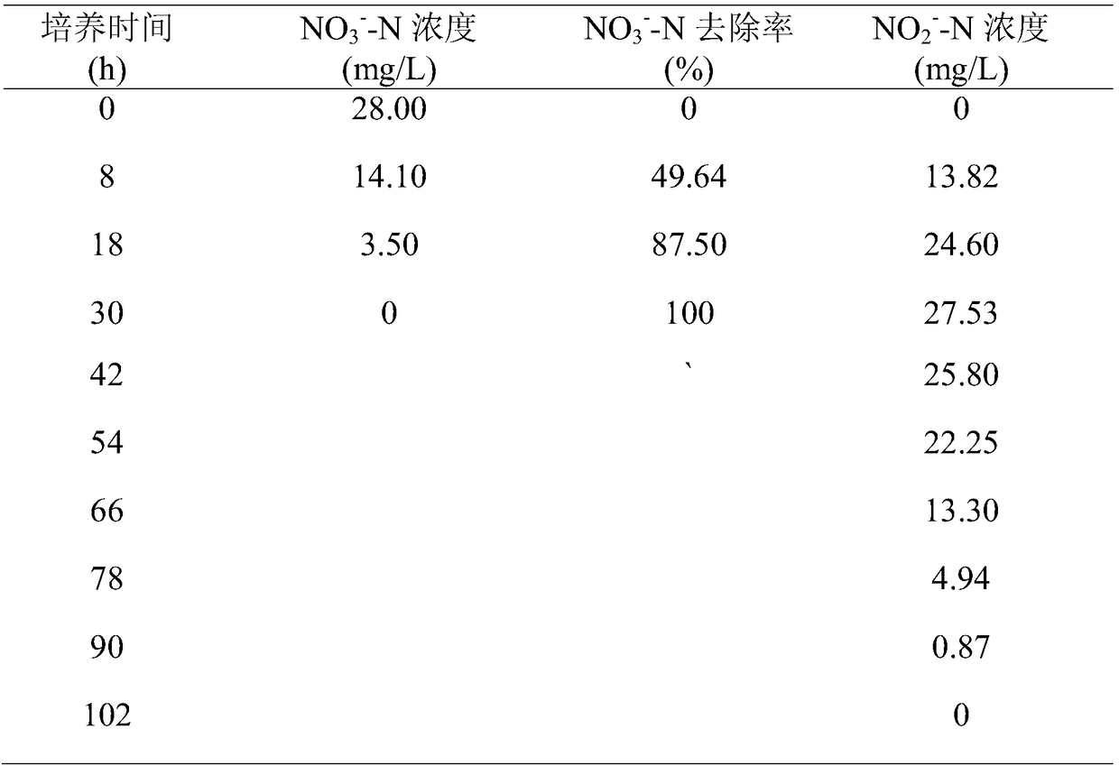 Paracoccus denitrificans strain with sulfur and ferrum co-substrate autotrophic denitrification function and culture method and application thereof