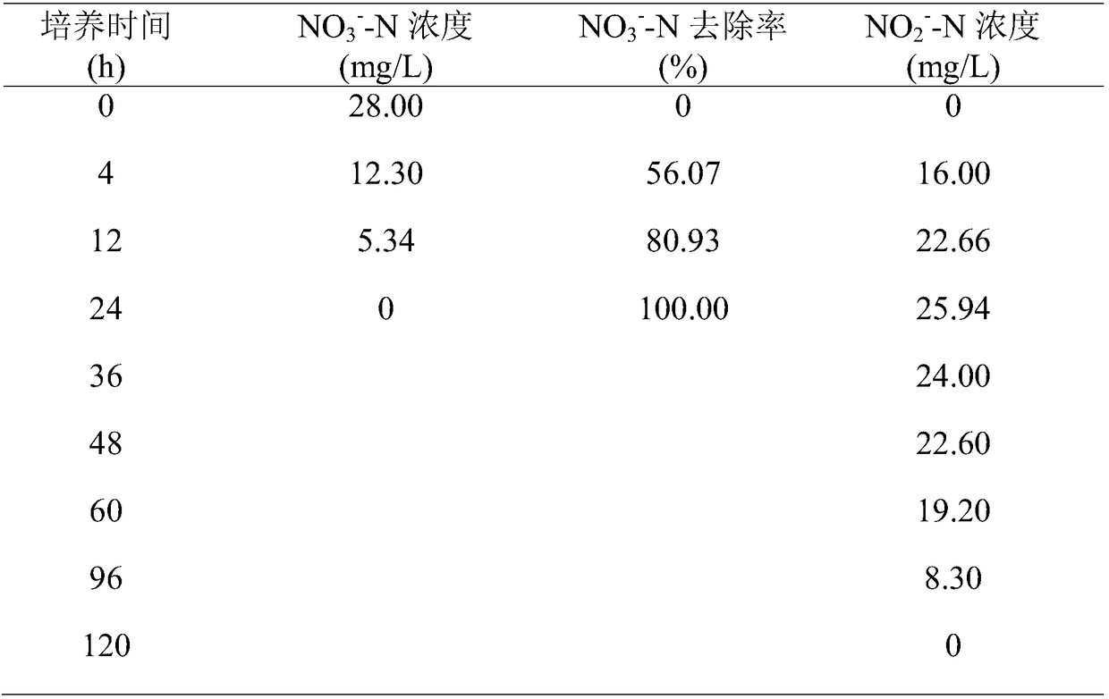 Paracoccus denitrificans strain with sulfur and ferrum co-substrate autotrophic denitrification function and culture method and application thereof