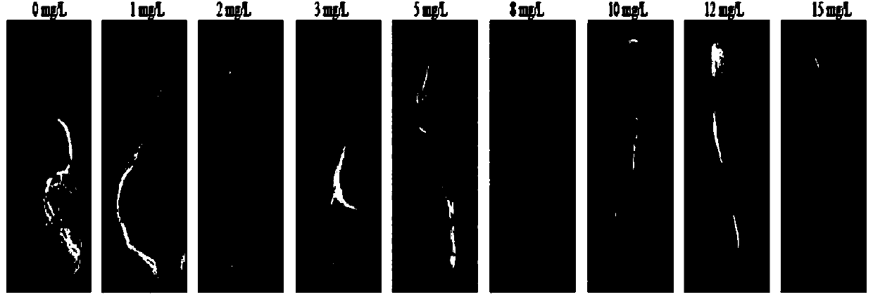 Culture medium for anti-glufosinate-ammonium alfalfa plants and soil screening method