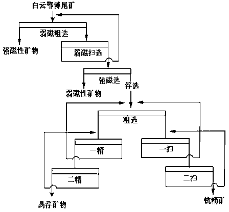 Method for separating scandium concentrate from bayan obo tailings