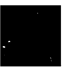 Method for collecting and quantitatively characterizing microcosmic distribution images of remaining oil in porous media