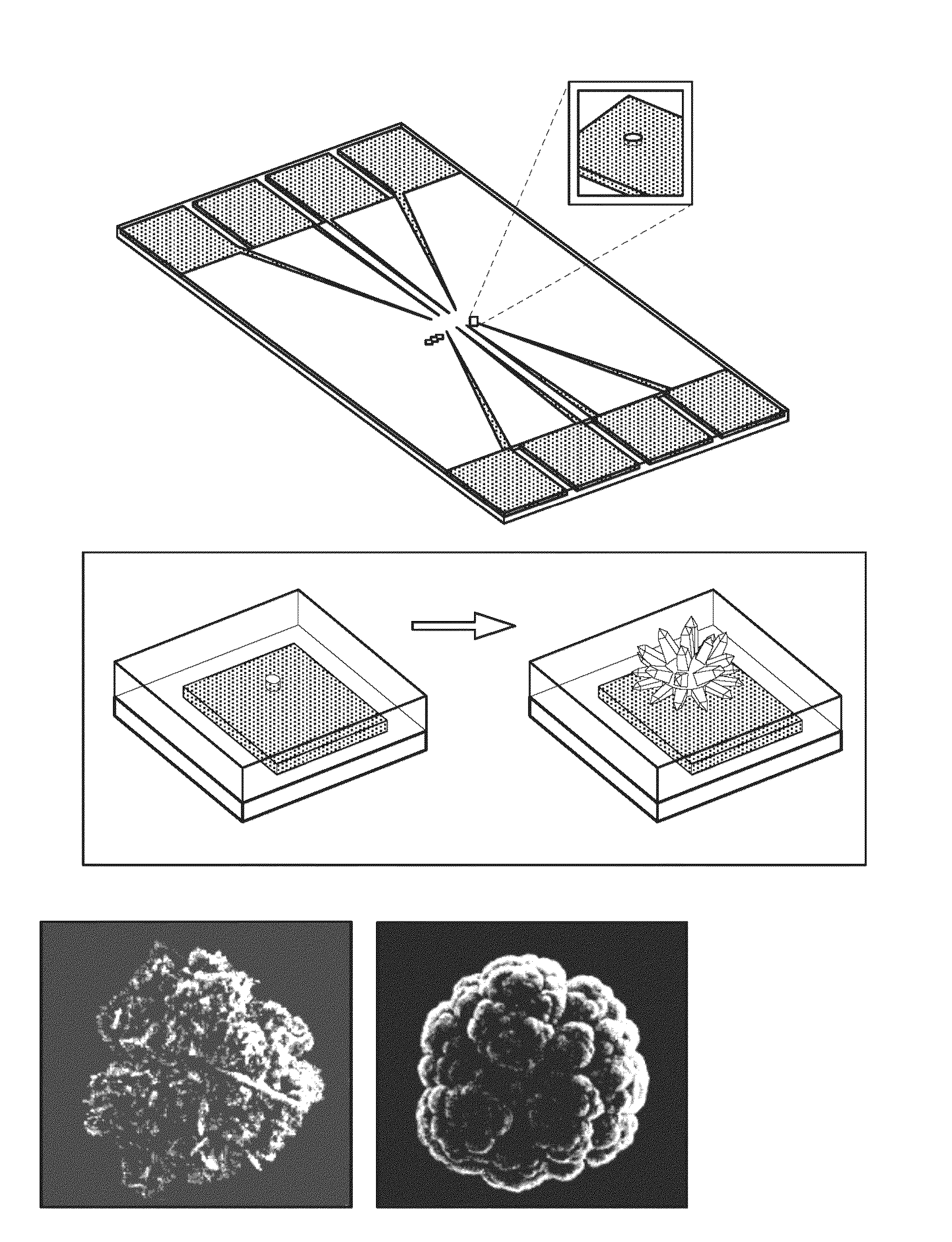 Nanostructured microelectrodes and biosensing devices incorporating the same