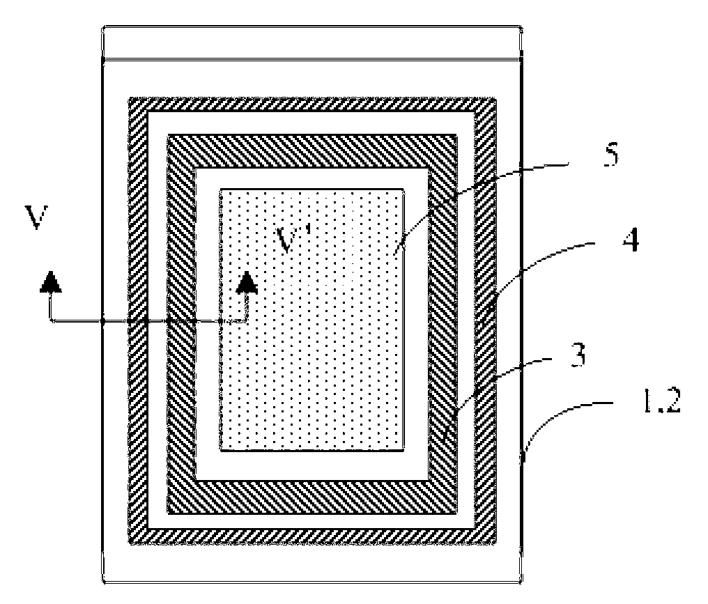 Display panel and display device