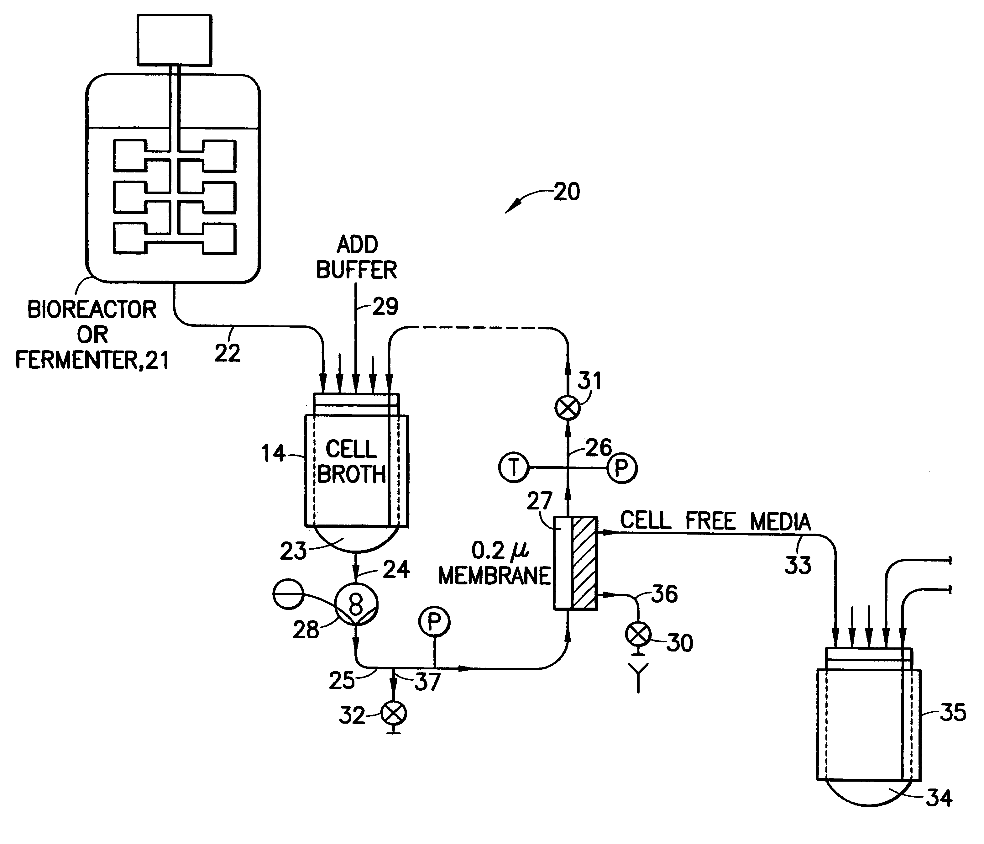 Purification of biological substances