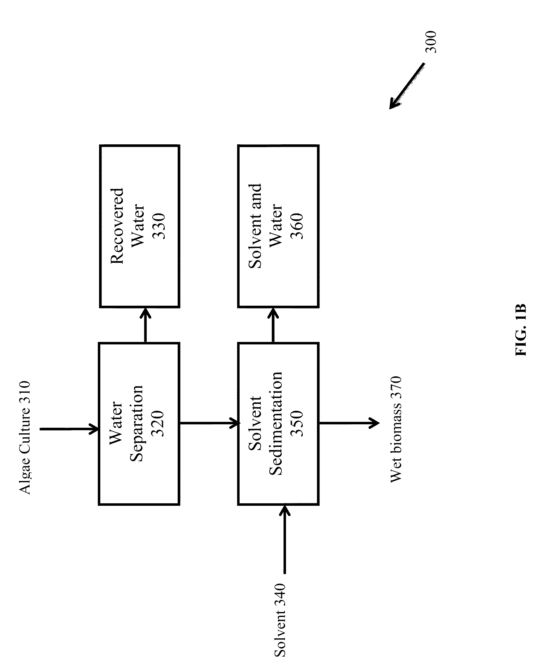 Methods of producing biofuels, chlorophylls and carotenoids