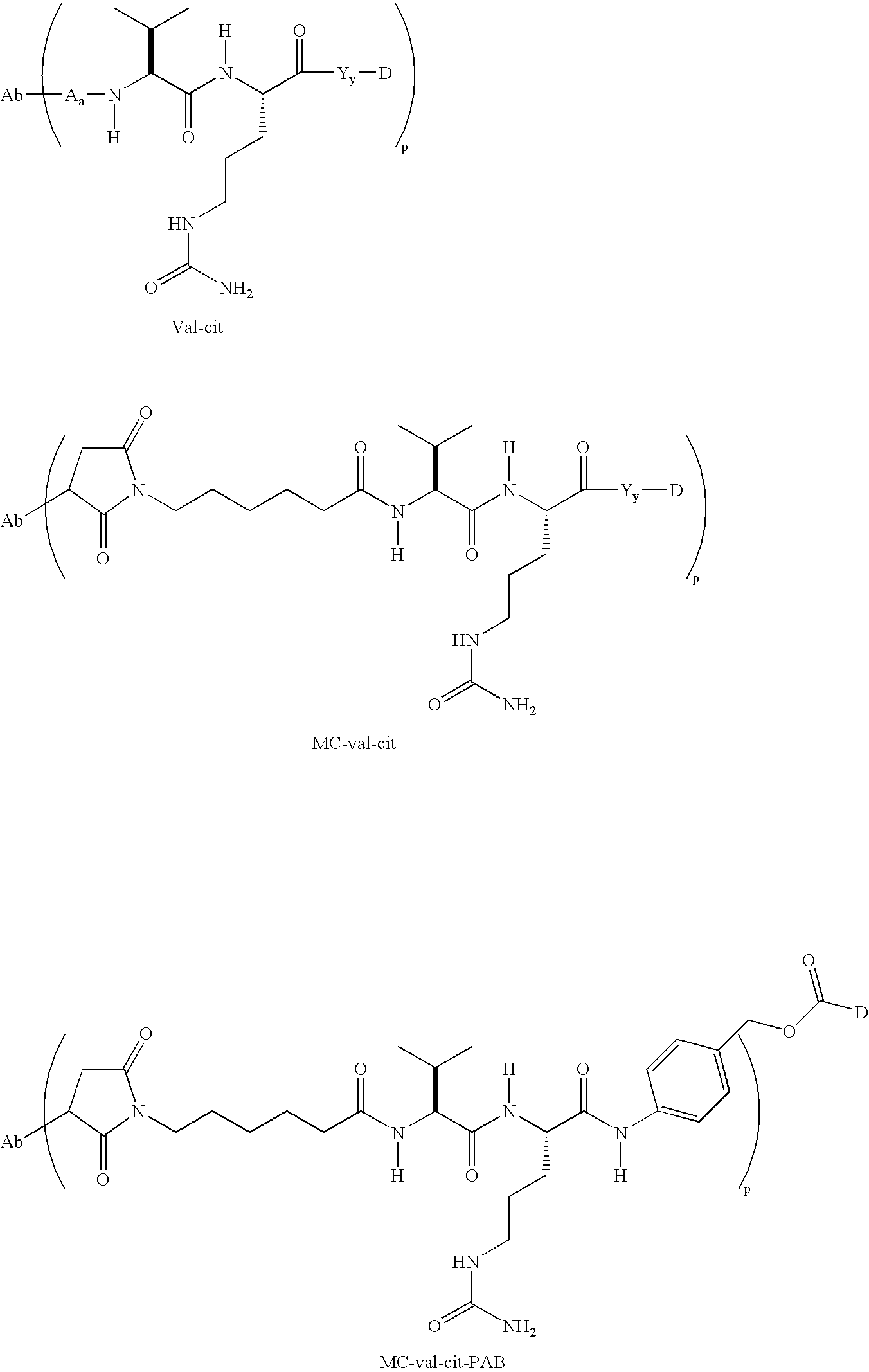 Methods and compositions for modulating hyperstabilized c-met