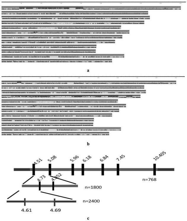 Gene for regulating and controlling rice plant type and application thereof