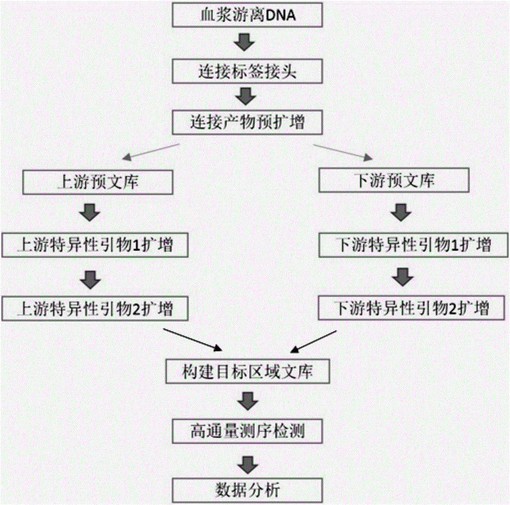 Noninvasive antepartum fetal alpha-thalassemia gene mutation detection library building method, detection method and kit