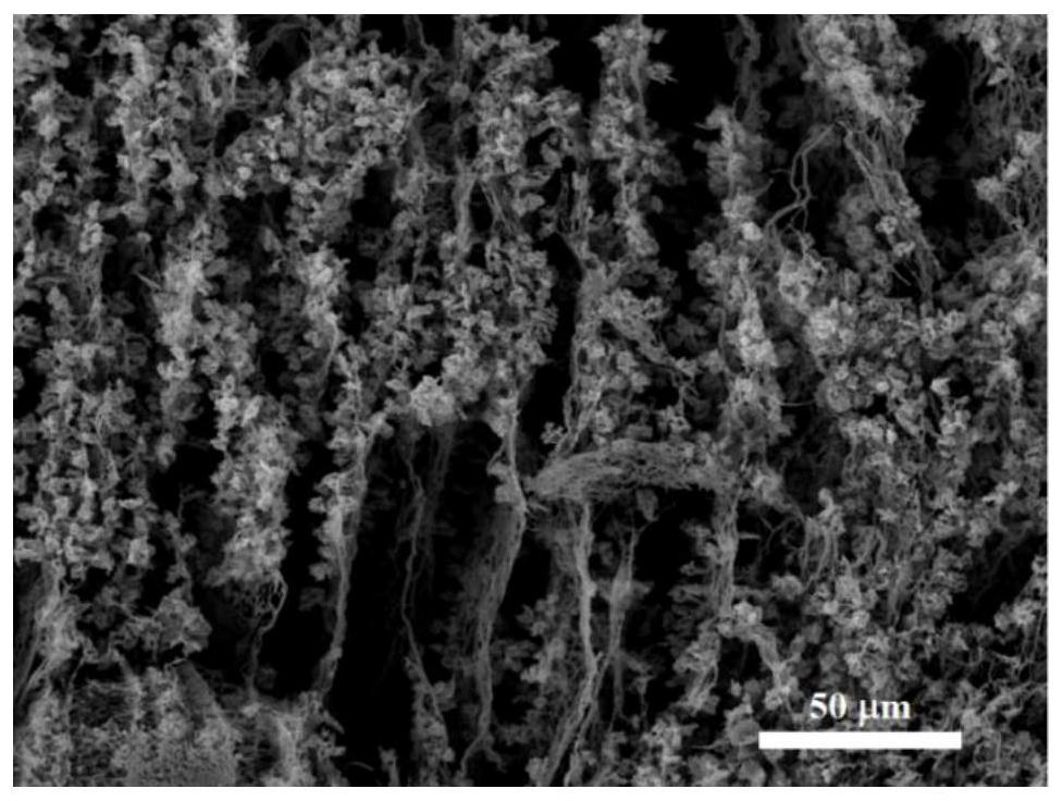 Magnetic graphene-based airgel material with magnetic field and pressure sensing effect and preparation method thereof