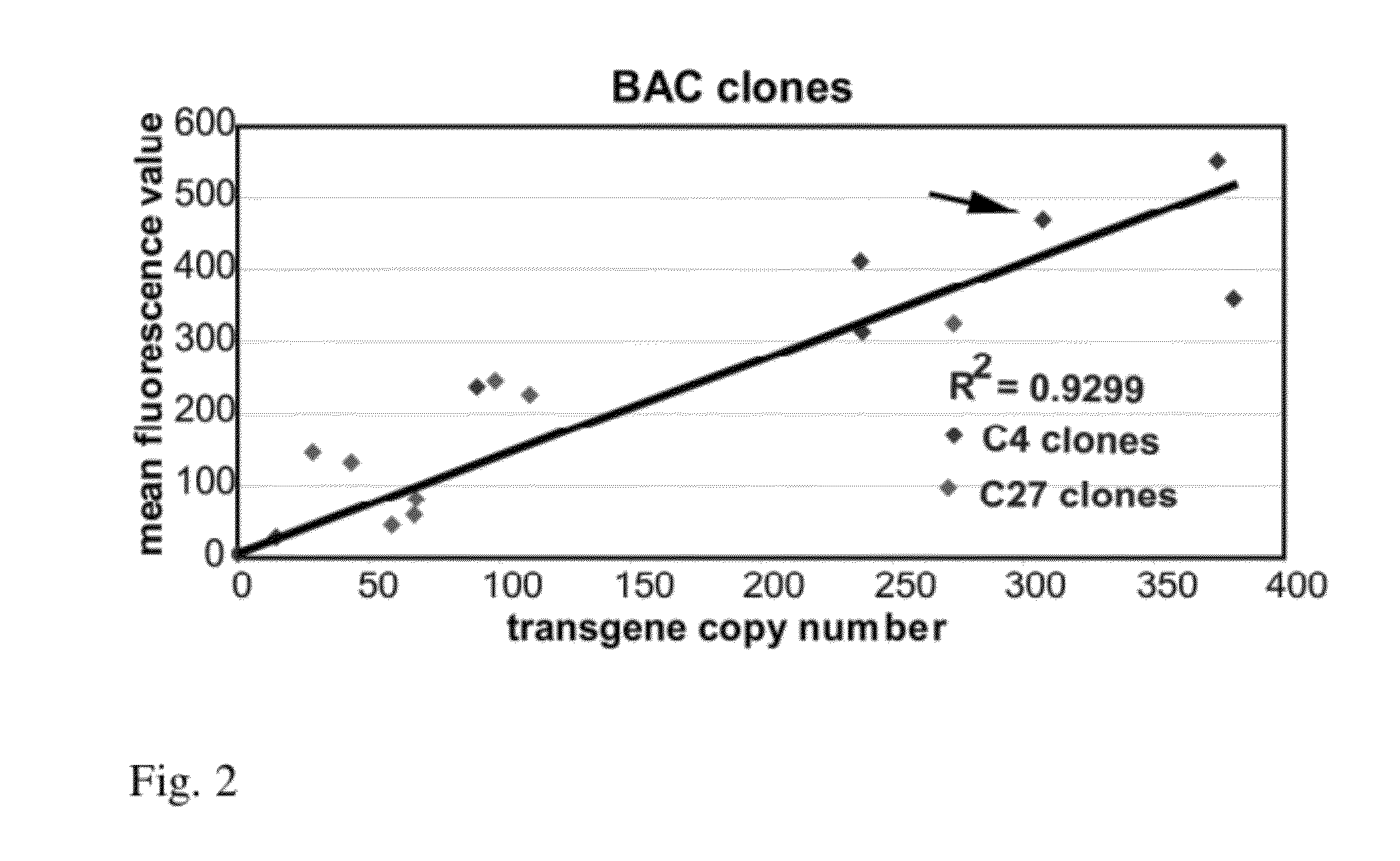 Recombinant Gene Expression