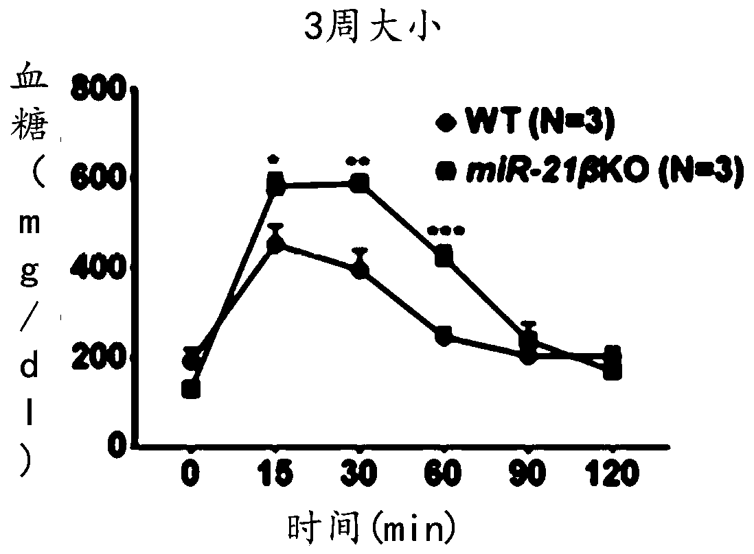 Medicine for preventing/treating type 2 diabetes and application thereof