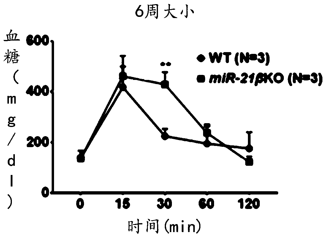 Medicine for preventing/treating type 2 diabetes and application thereof