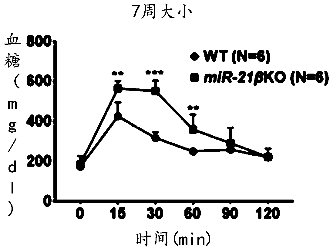 Medicine for preventing/treating type 2 diabetes and application thereof