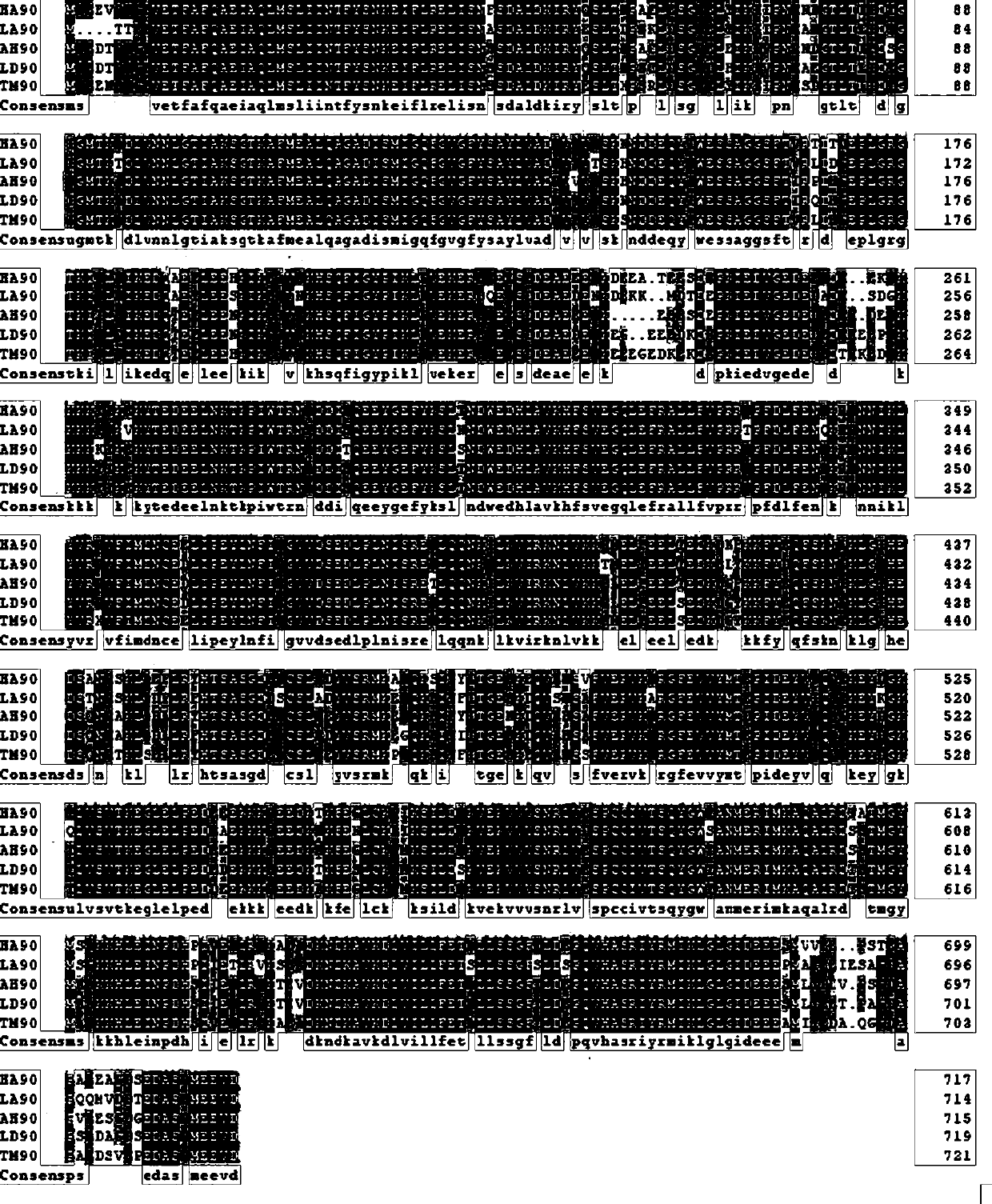 System screening and clone identification method for heat shock protein genes of agasicles hygrophila