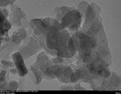 Preparation method and application of high-performance nitrogen-doped biomass oxygen reduction catalyst