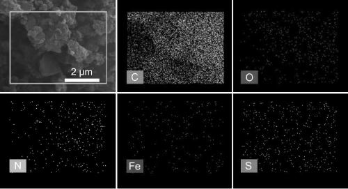 Preparation method and application of high-performance nitrogen-doped biomass oxygen reduction catalyst