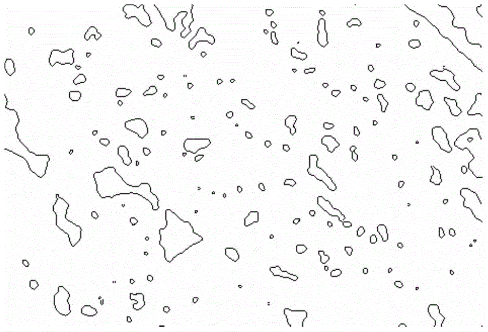 Carbonate rock microstructure determination method and device