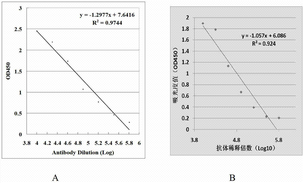 Preparation and application of tumor marker calreticulin detection kit