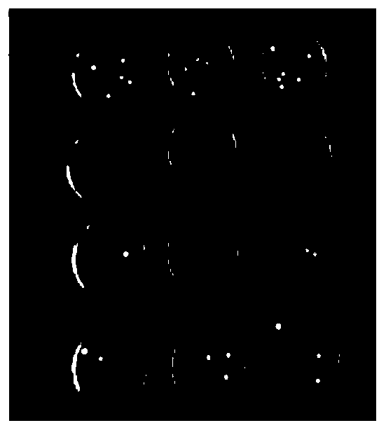 Chinese medicinal composition for treating gynecological inflammation and preparation method thereof