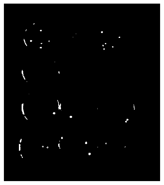 Chinese medicinal composition for treating gynecological inflammation and preparation method thereof