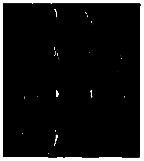 Chinese medicinal composition for treating gynecological inflammation and preparation method thereof