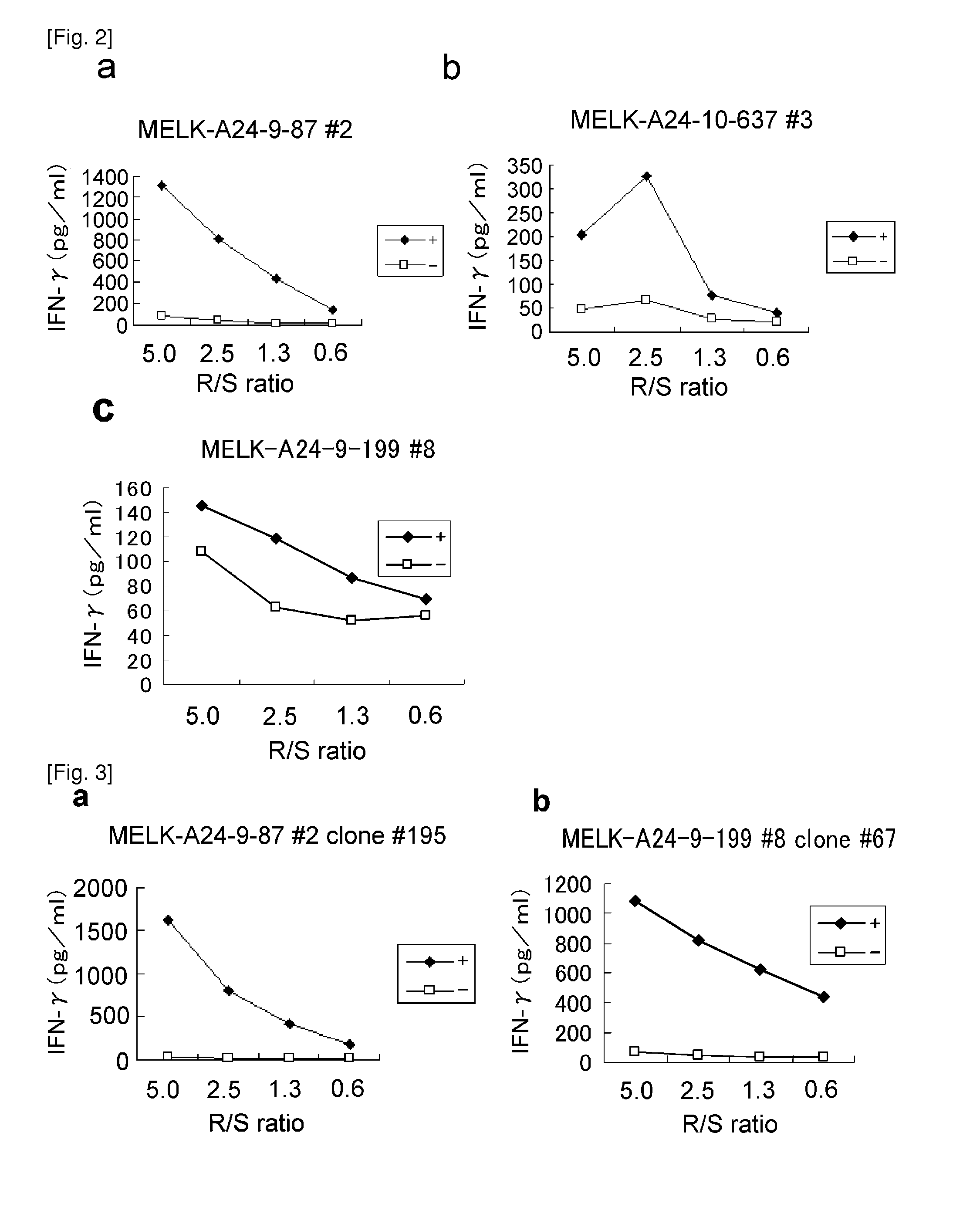 Modified melk peptides and vaccines containing the same