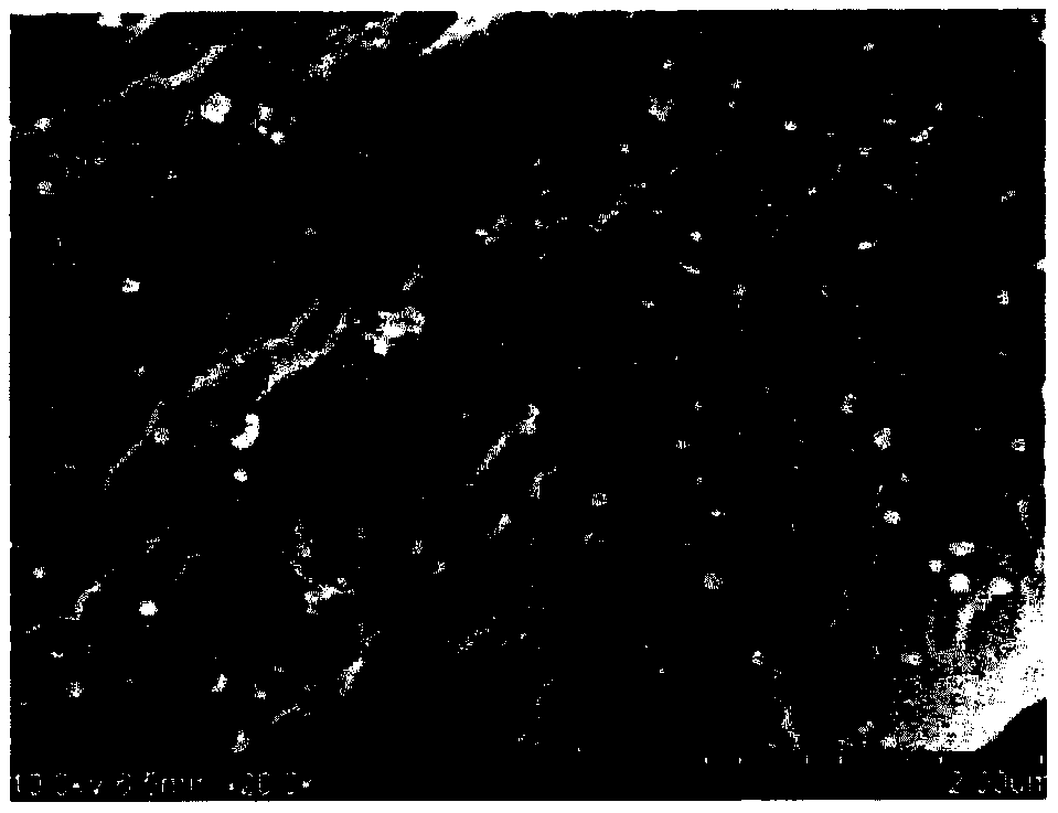 Nano-iron-calcium-alginate-composite-film preparation method for hexavalent chromium removal