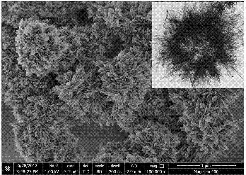 Microwave assisted preparation of hydroxyapatite hollow sphere