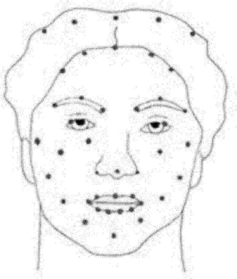 Data driving face expression synthesis method based on Laplace transformation