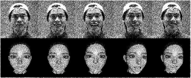 Data driving face expression synthesis method based on Laplace transformation